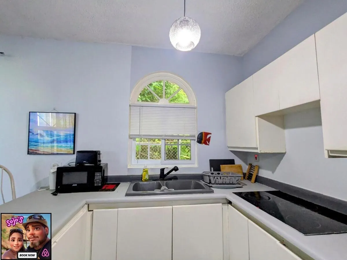 Sojo'S Sky Castle Studio At Columbus Heights - Ocho Rios 0*,